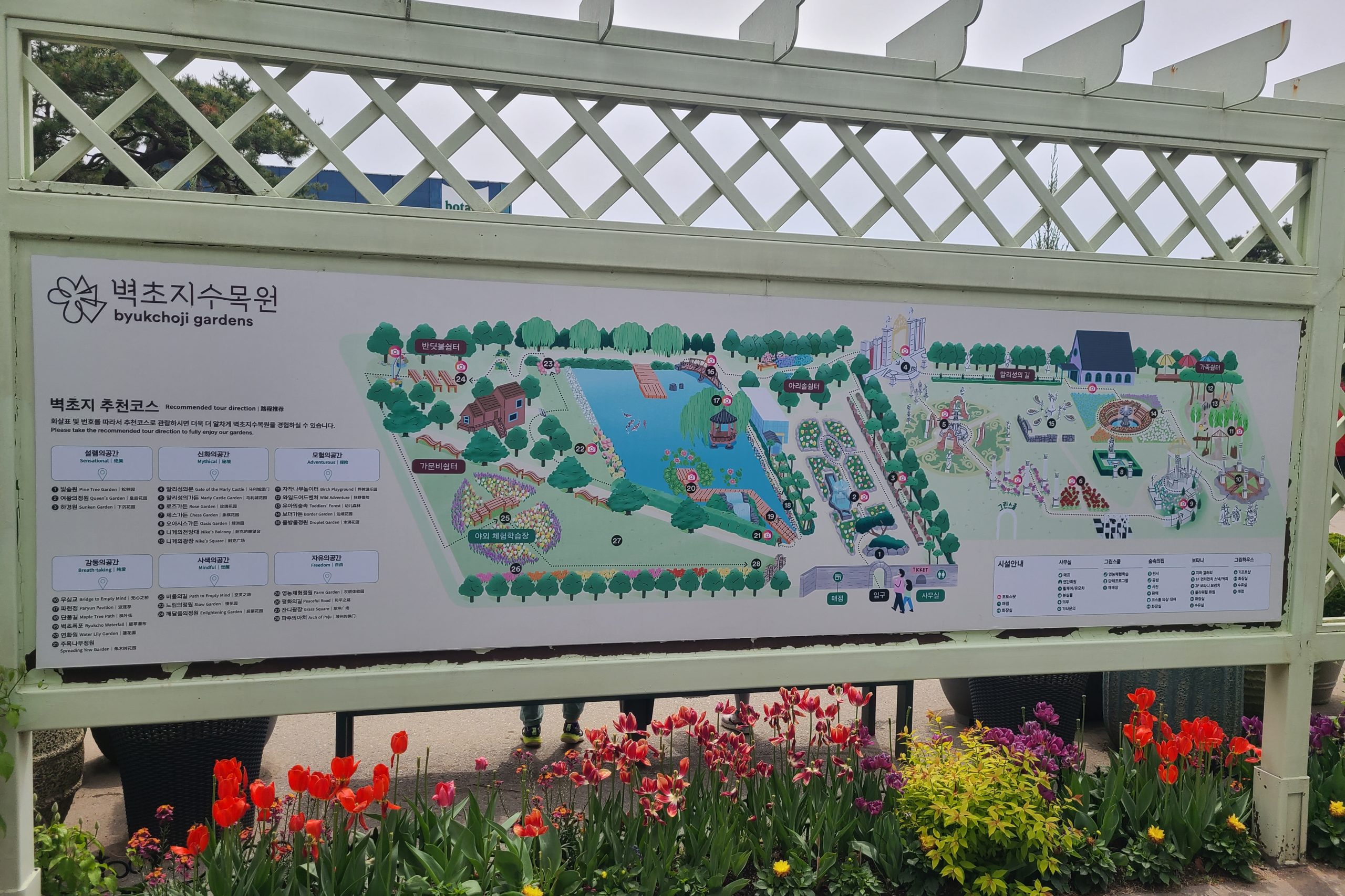 파주 벽초지수목원 튤립 명소｜유럽풍 정원 말리성에서 봄꽃 구경 제대로 했어요! 5