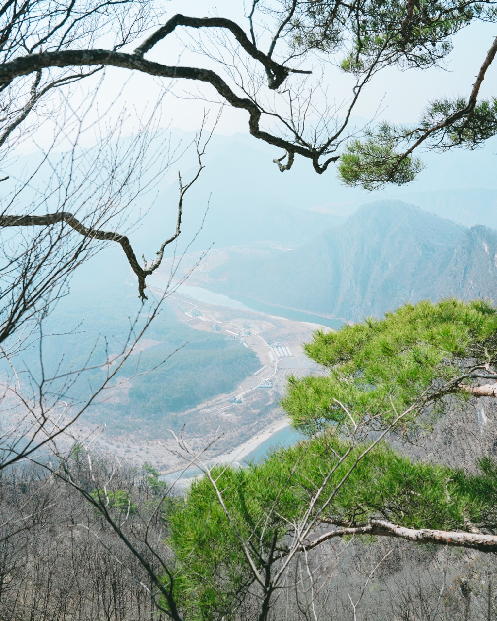 강원도 정선 동강 백운산 할미꽃 등산 코스 추천 2