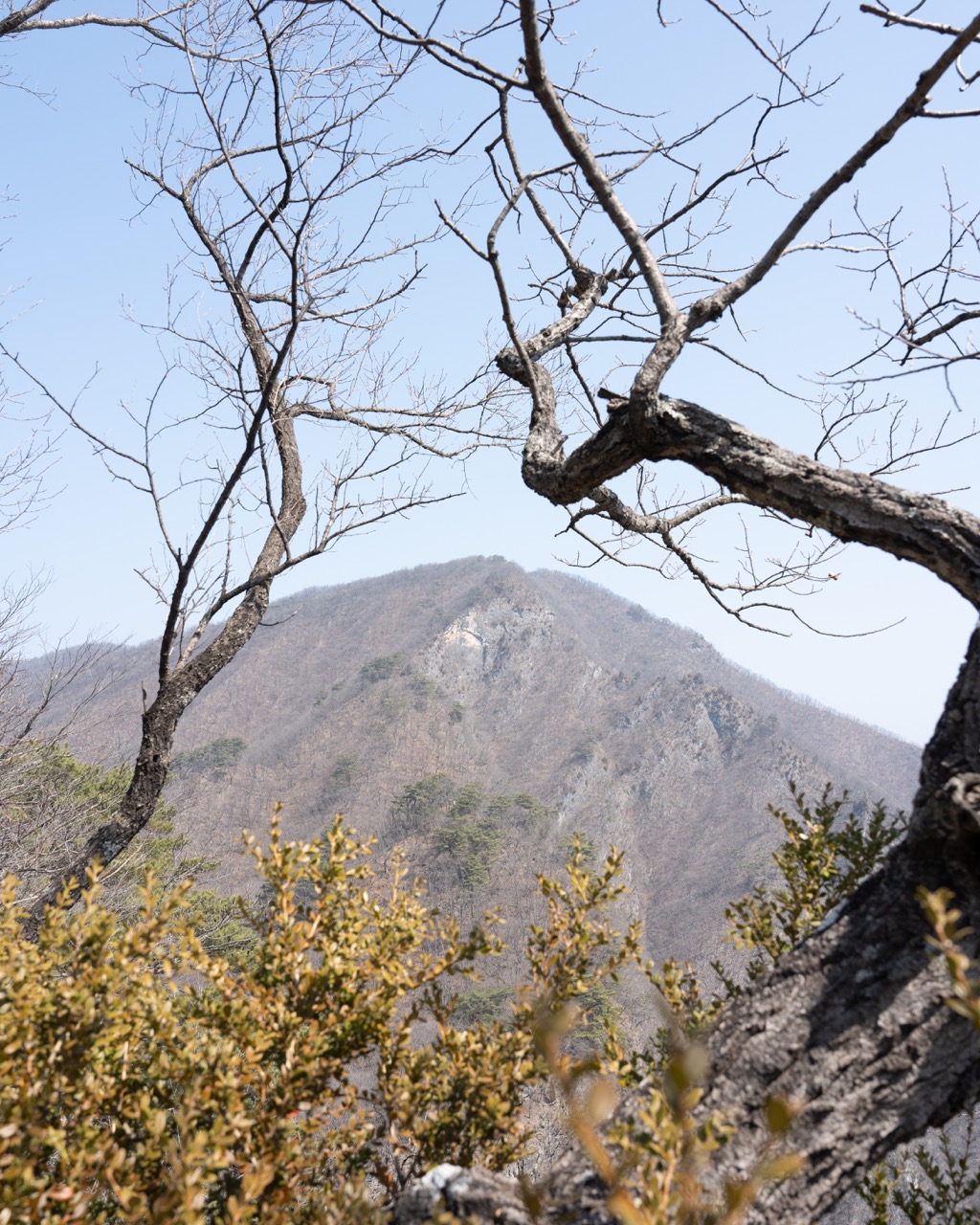 강원도 정선 동강 백운산 할미꽃 등산 코스 추천 3
