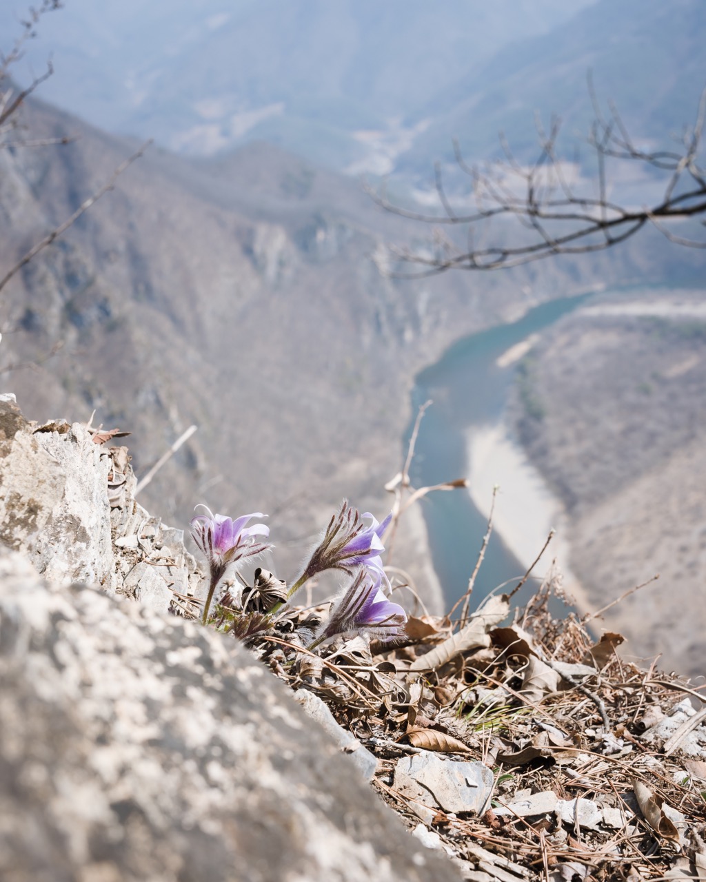 강원도 정선 동강 백운산 할미꽃 등산 코스 추천 4
