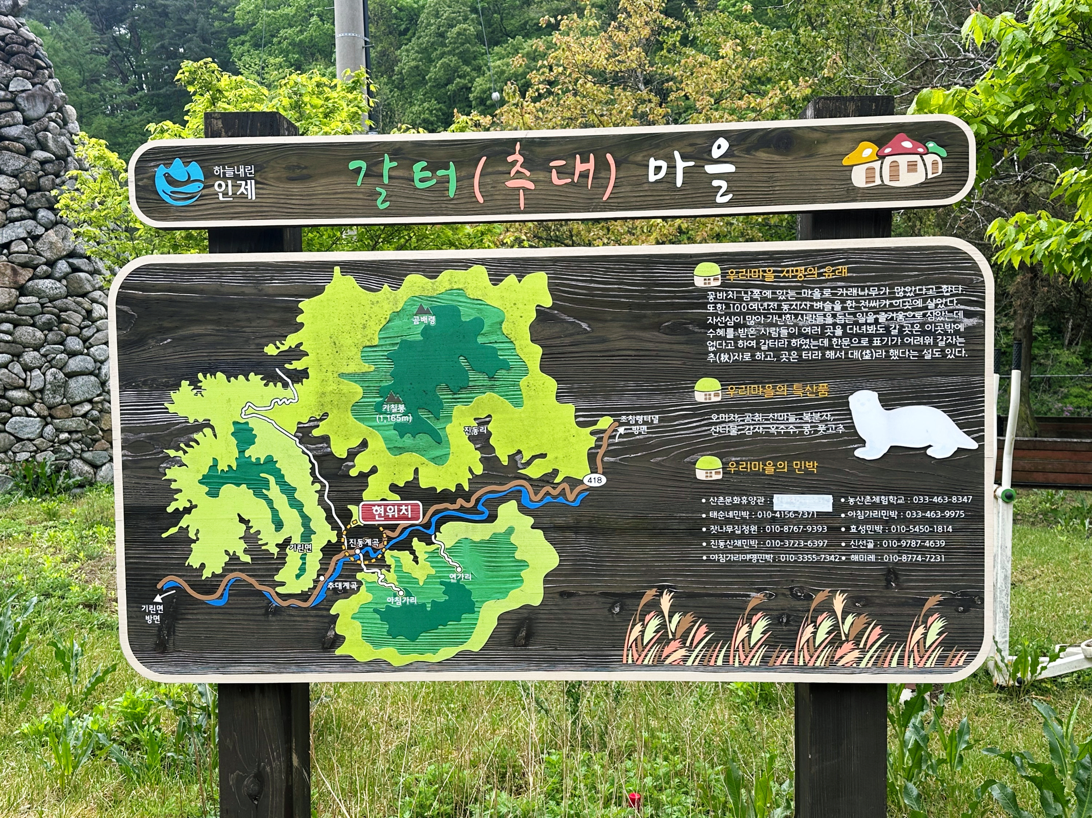 인제 점봉산 곰배령 야생화 기차여행 행복을주는사람들 5