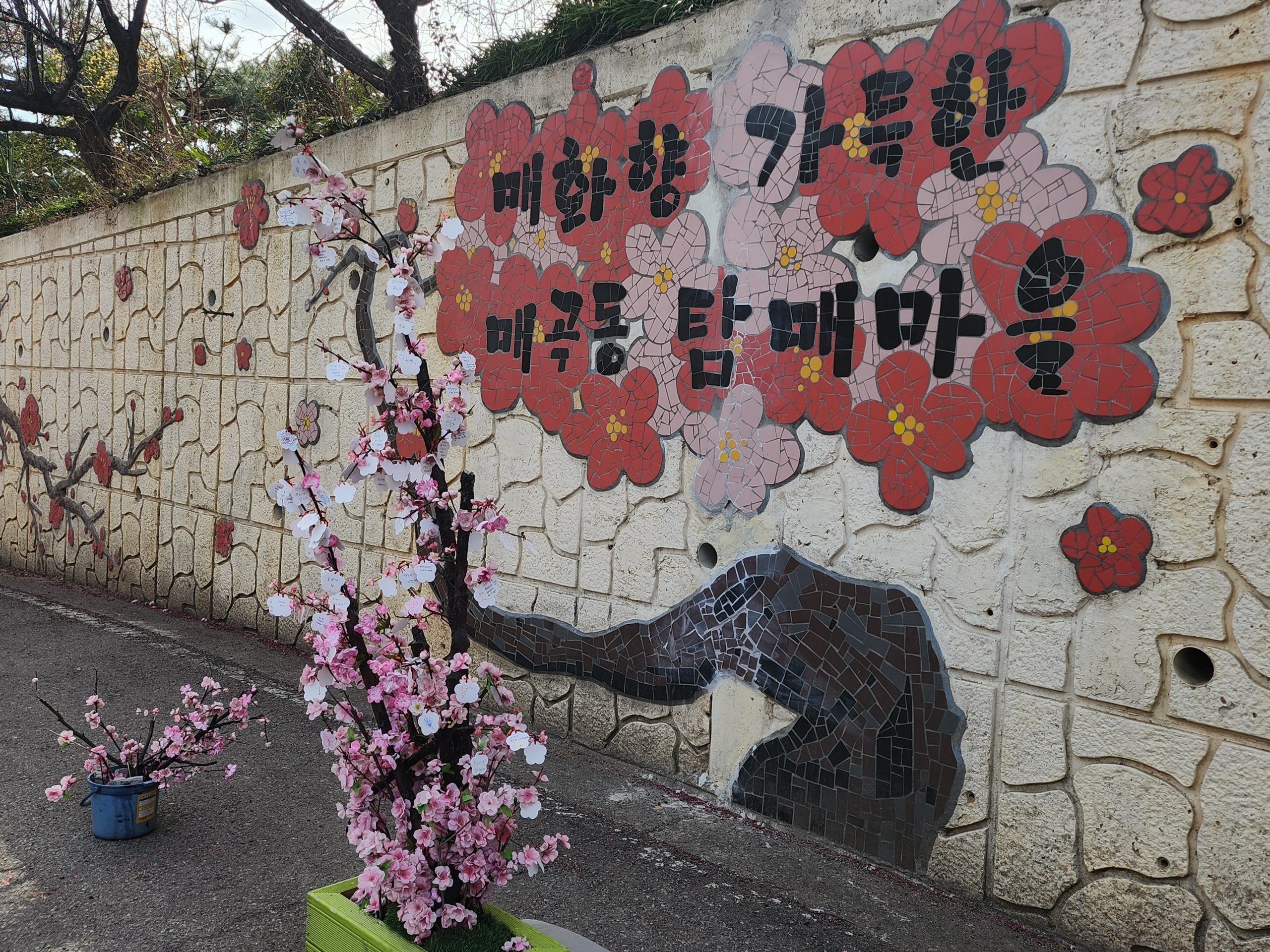 순천여행 매곡동 탐매마을, 홍매화가 가득핀 순천 홍매화명소 3