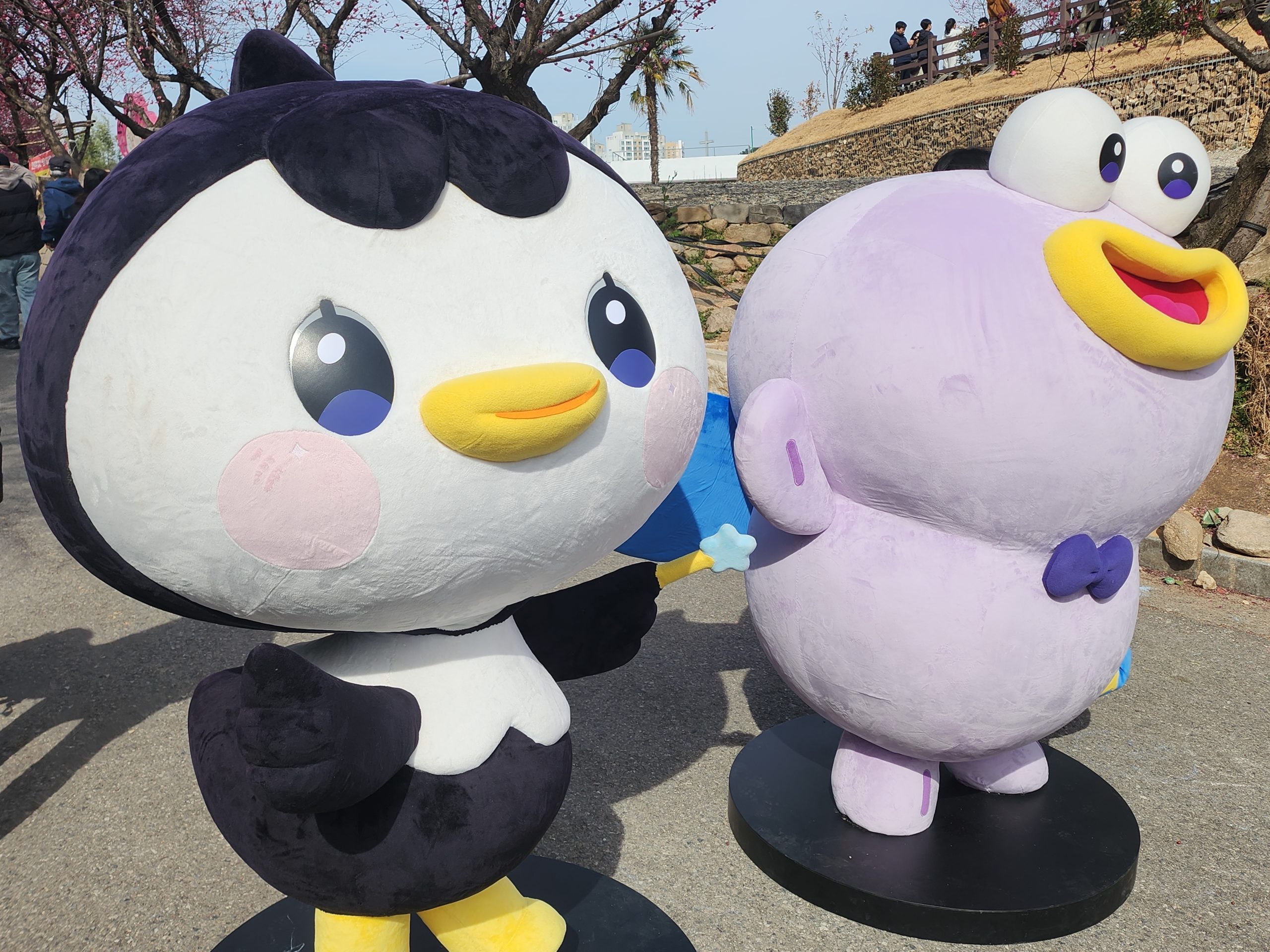 순천여행 매곡동 탐매마을, 홍매화가 가득핀 순천 홍매화명소 4